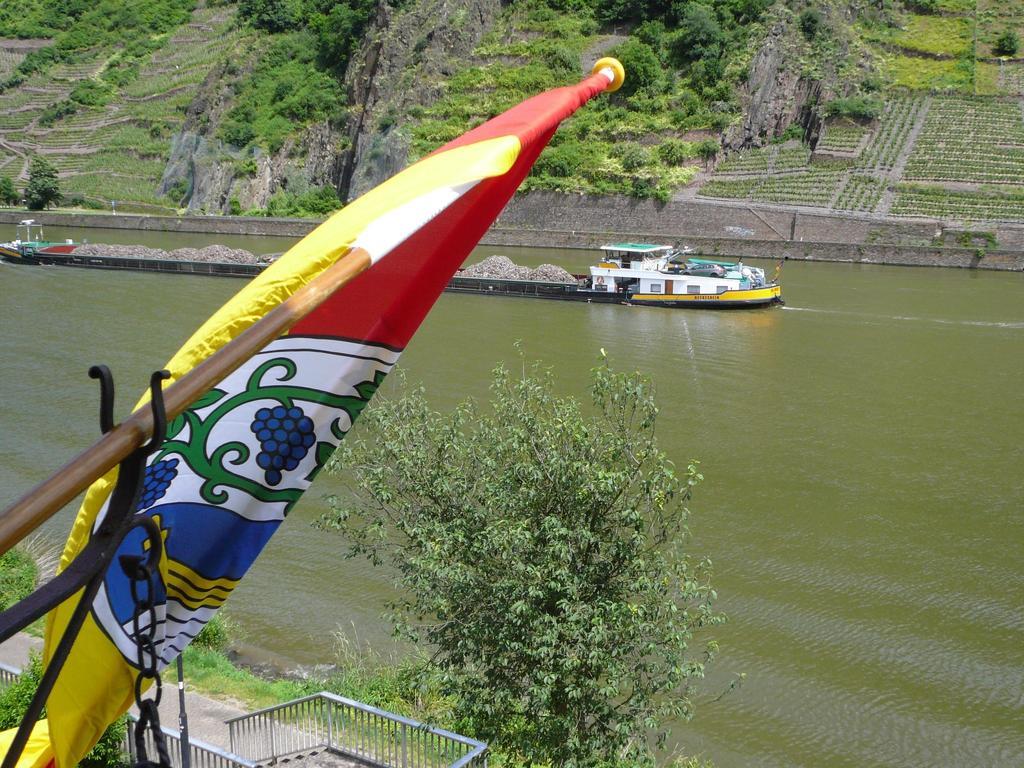Mosel-Landhaus Am Moselufer B&B Briedern Exteriör bild